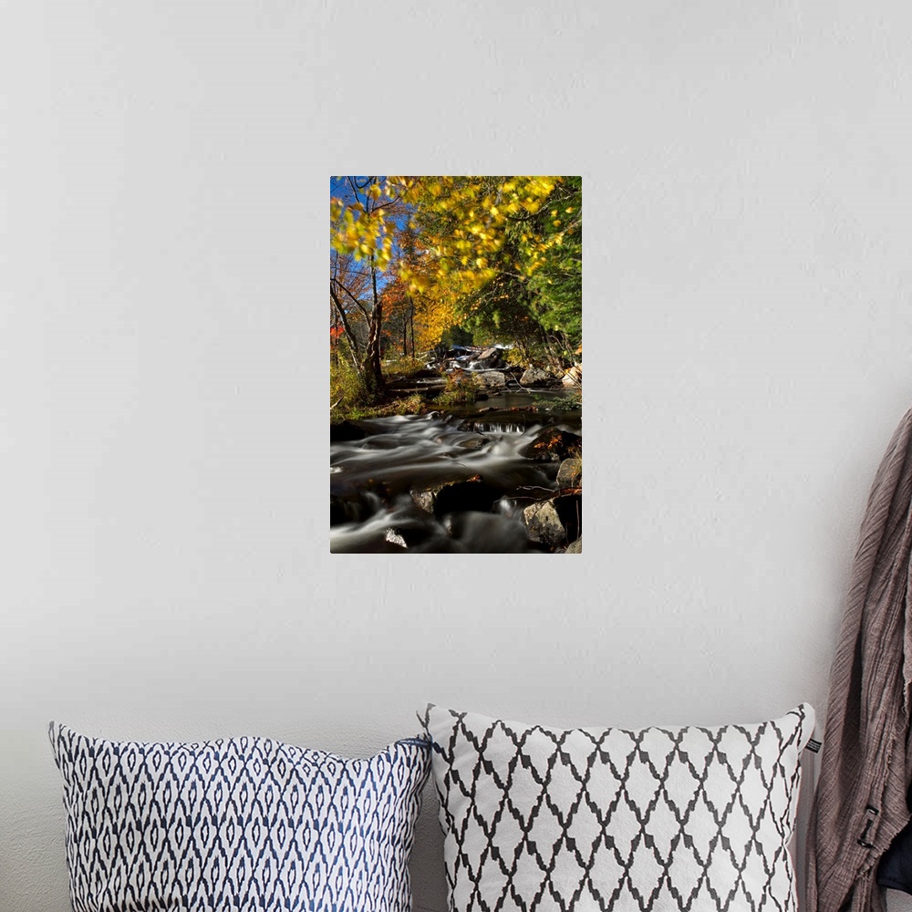 A bohemian room featuring Alqonquin Provincial Park In Autumn, Ontario, Canada