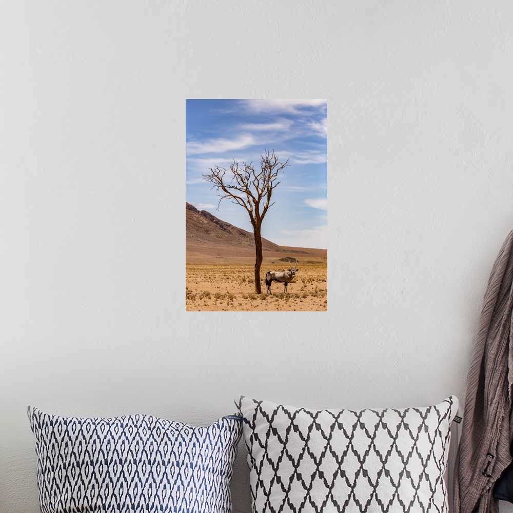 A bohemian room featuring An antelope stands under a tree in the desert; Sossusvlei, Hardap Region, Namibia