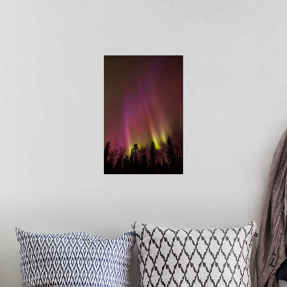 A bohemian room featuring Aurora borealis over trees; Thunder Bay, Ontario, Canada