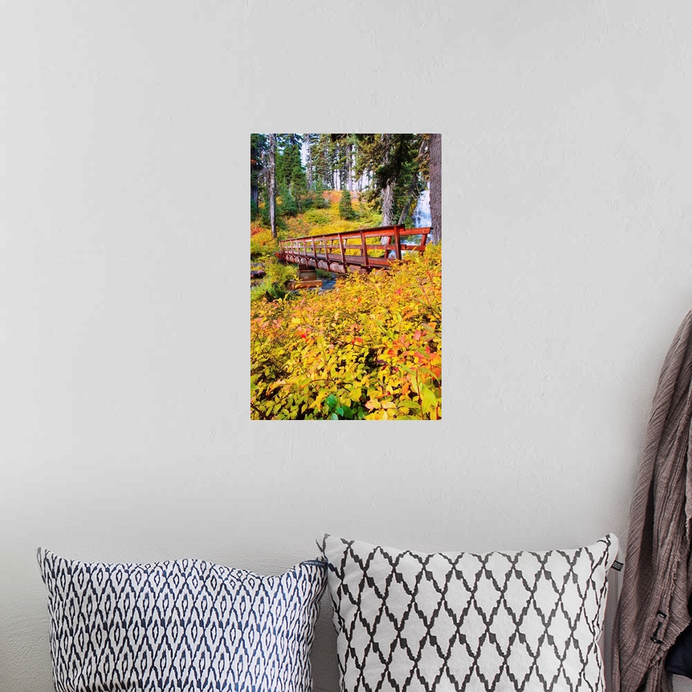 A bohemian room featuring Autumn Colours Add Beauty To Umbrella Falls, Oregon, USA