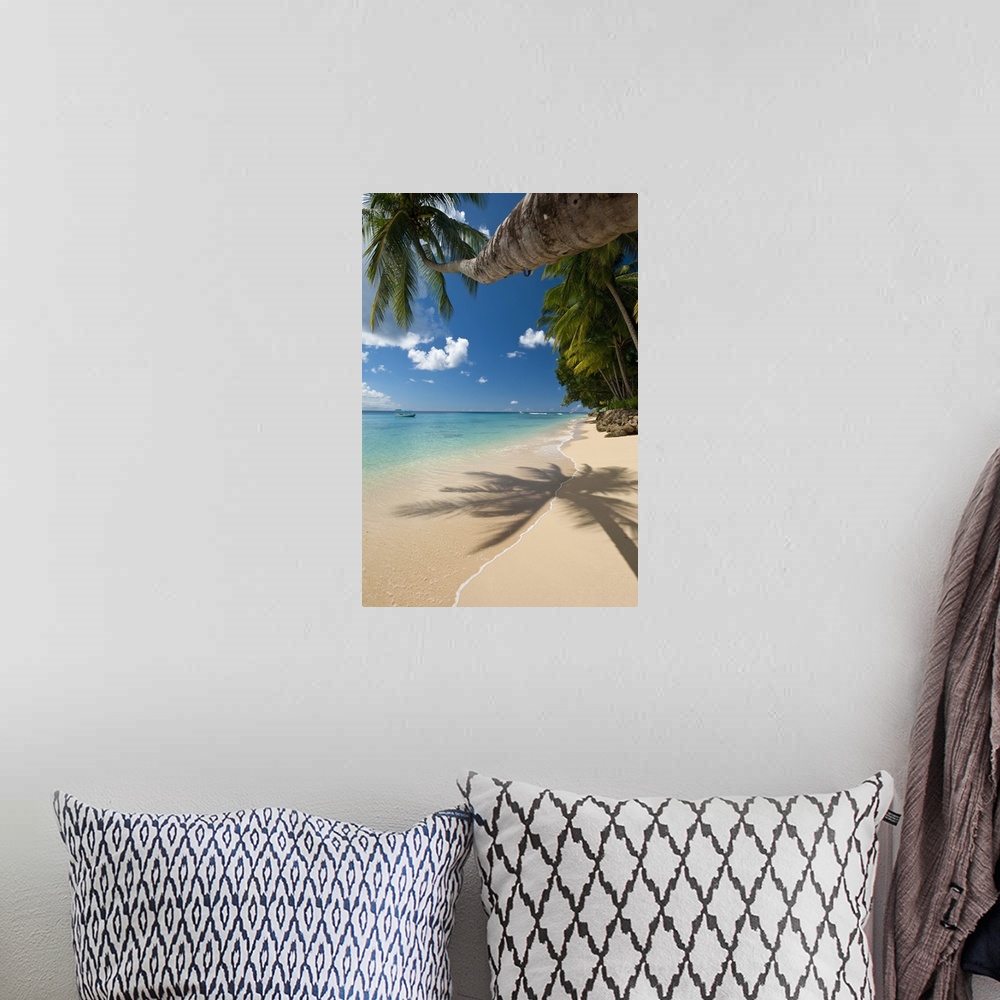 A bohemian room featuring Barbados, Palm tree leaning over beach near Holetown