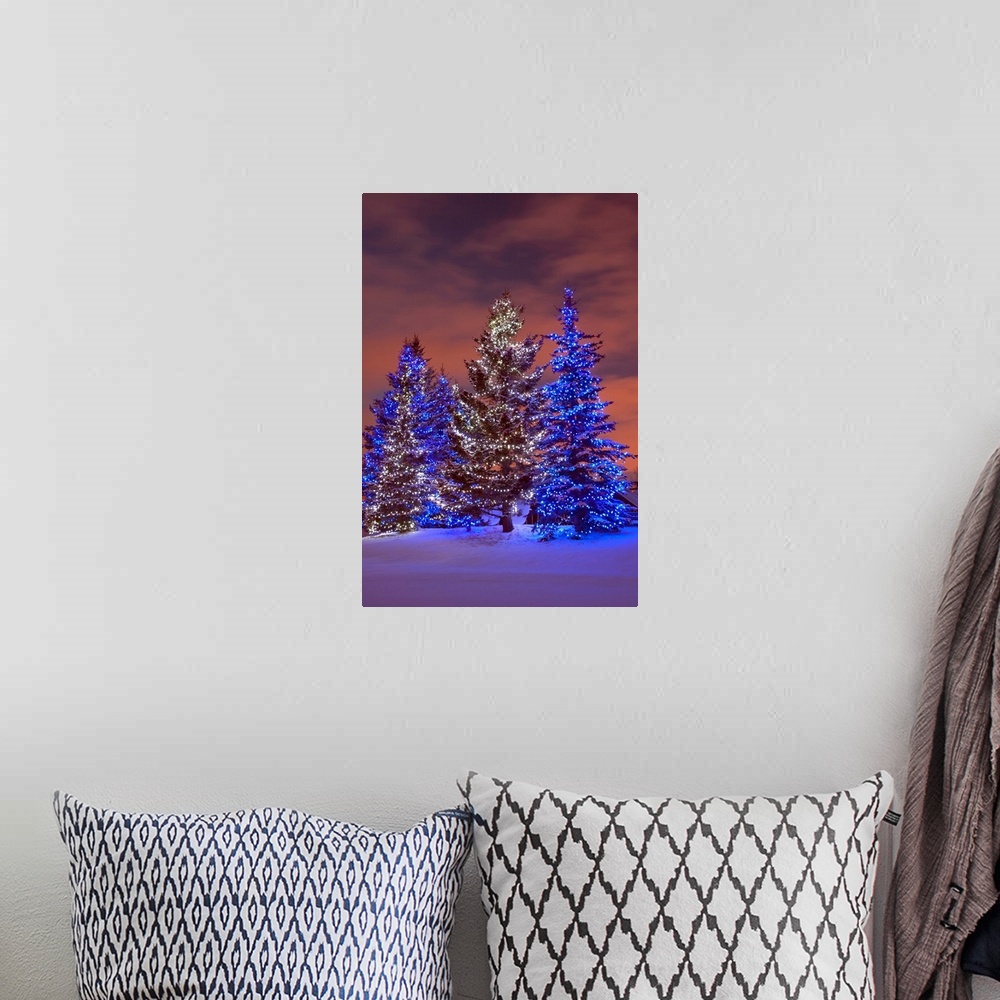 A bohemian room featuring Calgary, Alberta, Canada, Christmas Lights On Evergreen Trees At Sunset