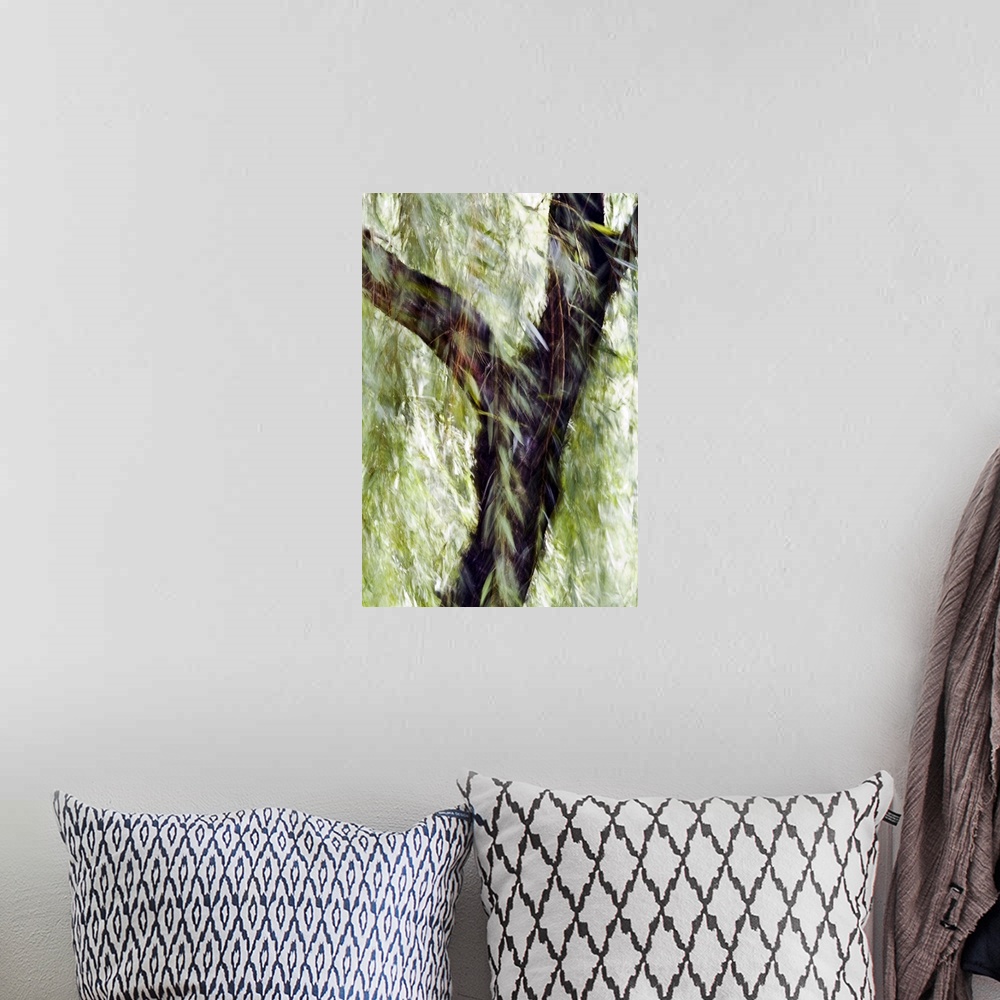 A bohemian room featuring China, Beijing, Impressionistic Wind Blown Tree