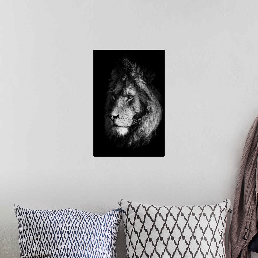 A bohemian room featuring Monochrome close-up of lion (panthera leo) face in shadows, Klein's camp, Serengeti national park...