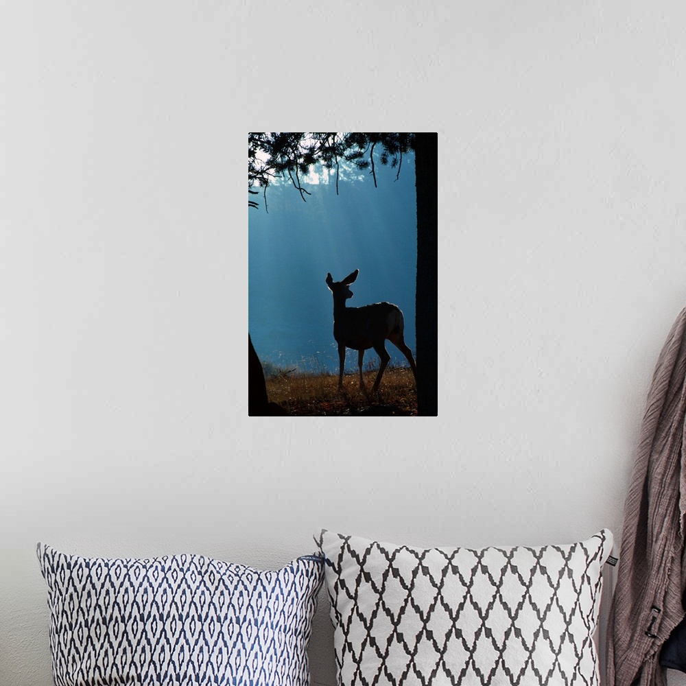 A bohemian room featuring Deer In A Forest
