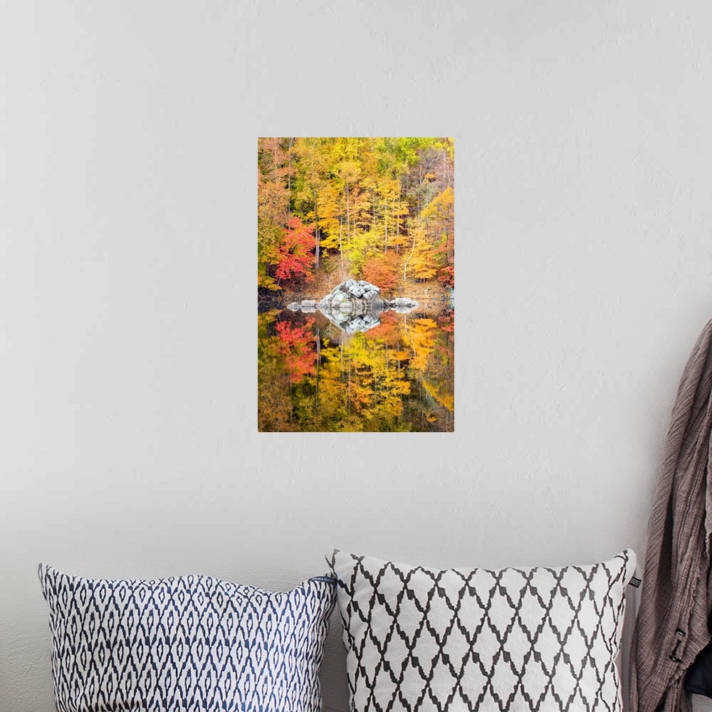A bohemian room featuring Fall coloured foliage along the C&O Canal, Chesapeake and Ohio Canal National Historical Park Cab...