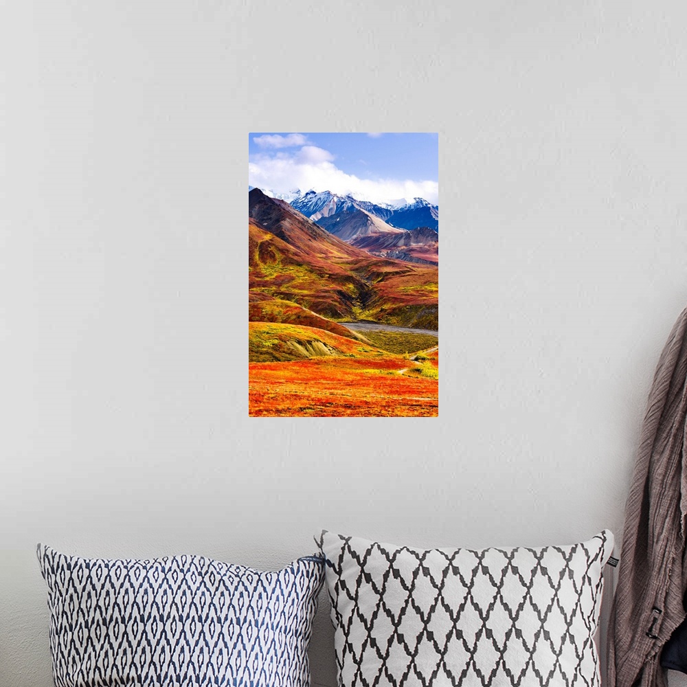 A bohemian room featuring Fall Colours And Alaska Range, Denali National Park, Alaska, USA