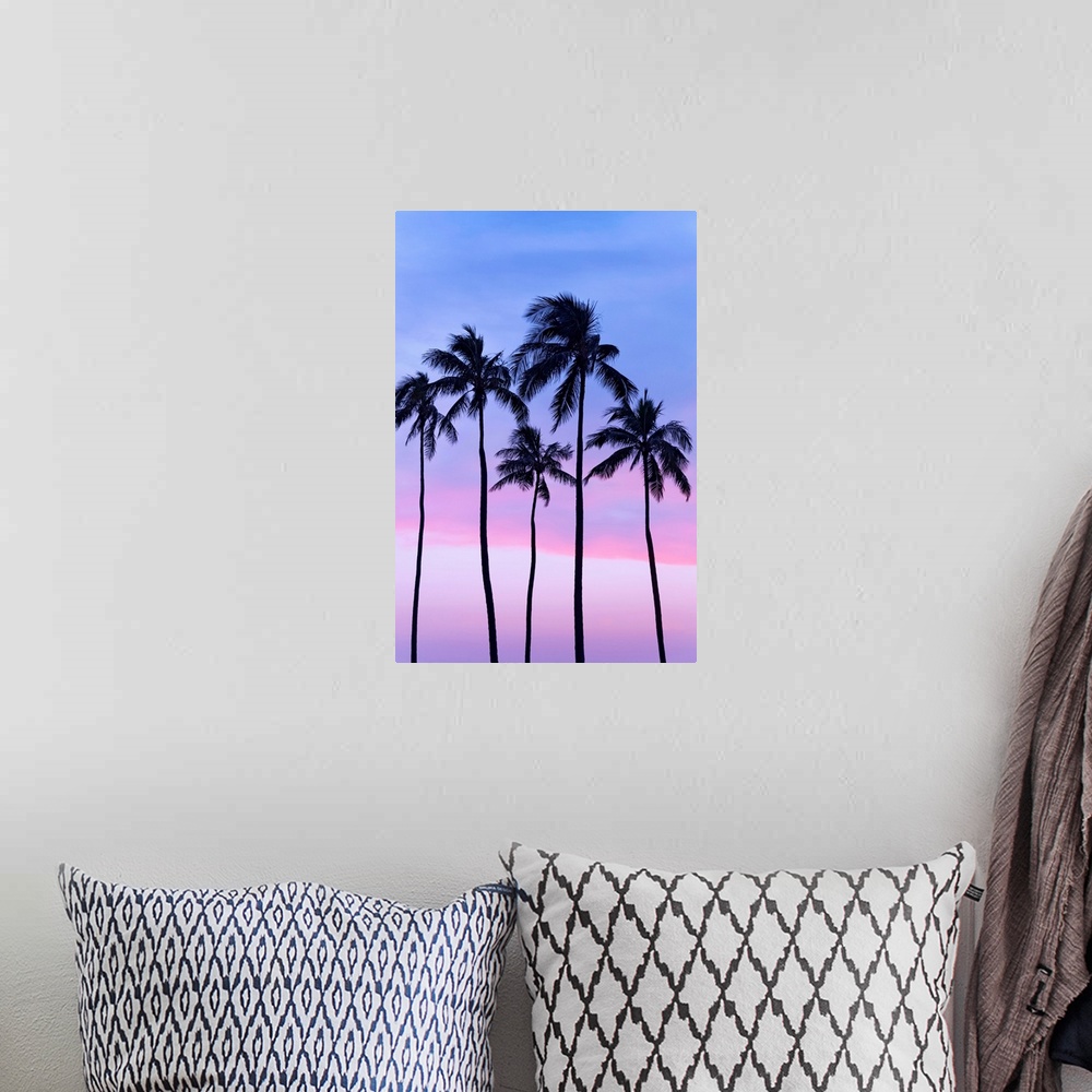 A bohemian room featuring Five coconut palm trees in line with cotton candy sunset behind; Honolulu, Oahu, Hawaii, United S...