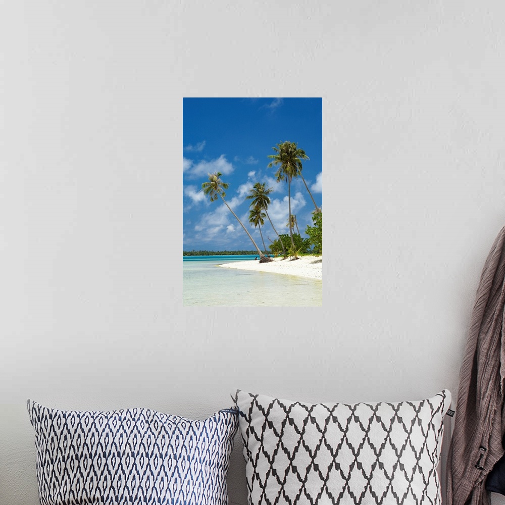 A bohemian room featuring French Polynesia, Tahiti, Maupiti, Lagoon Beach With Palm Trees And Blue Sky