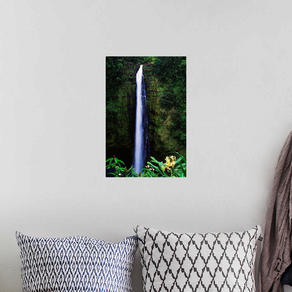 A bohemian room featuring Hawaii, Big Island, Akaka Falls, Tropical Flowers Blooming In Foreground
