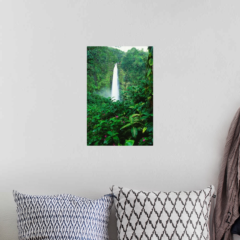 A bohemian room featuring Hawaii, Big Island, Akaka Falls View Through Lush Greenery, Impatiens In Foreground