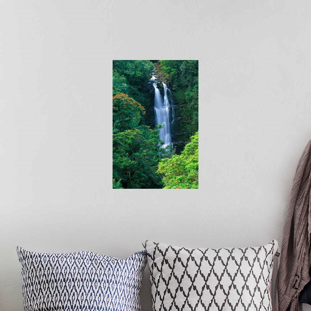 A bohemian room featuring Hawaii, Big Island, Hamakua Coast, Waterfall Surrounded By Greenery