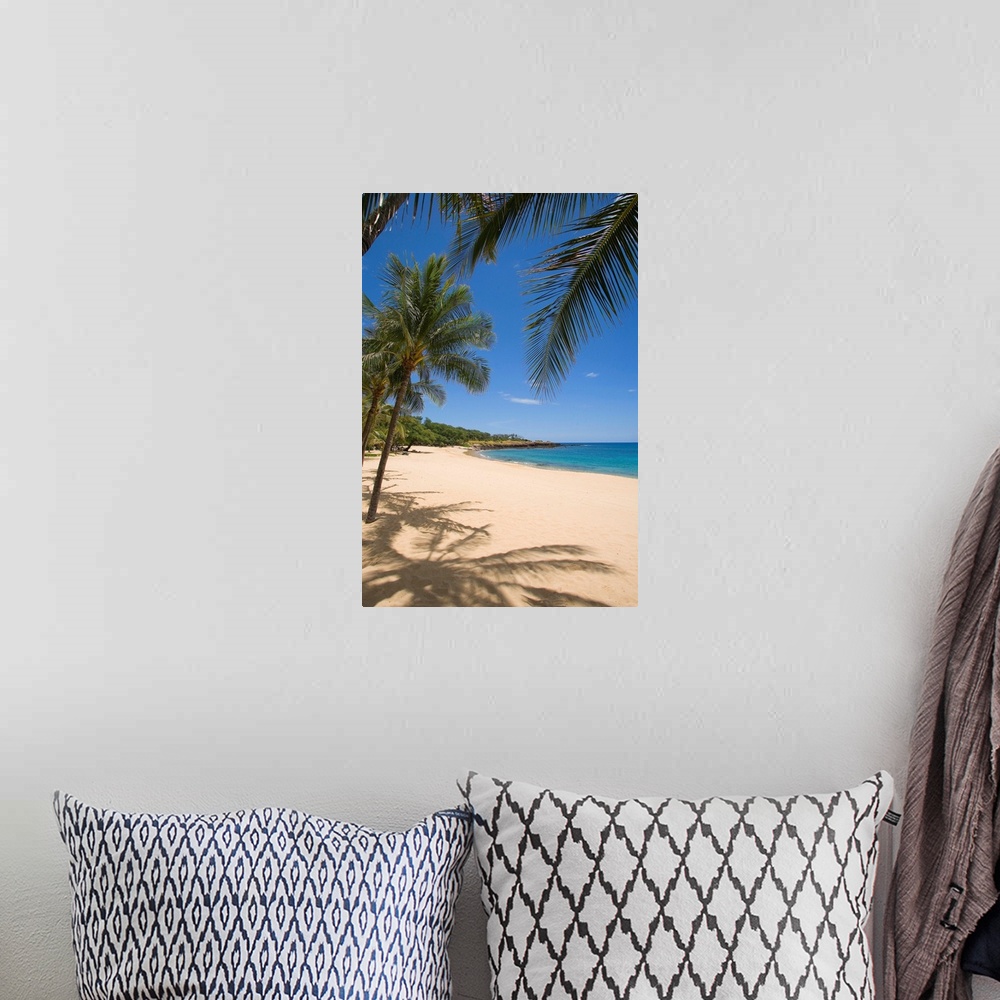 A bohemian room featuring Hawaii, Lanai, Hulopoe Beach, Palm Trees And Shadows Along Sandy Beach