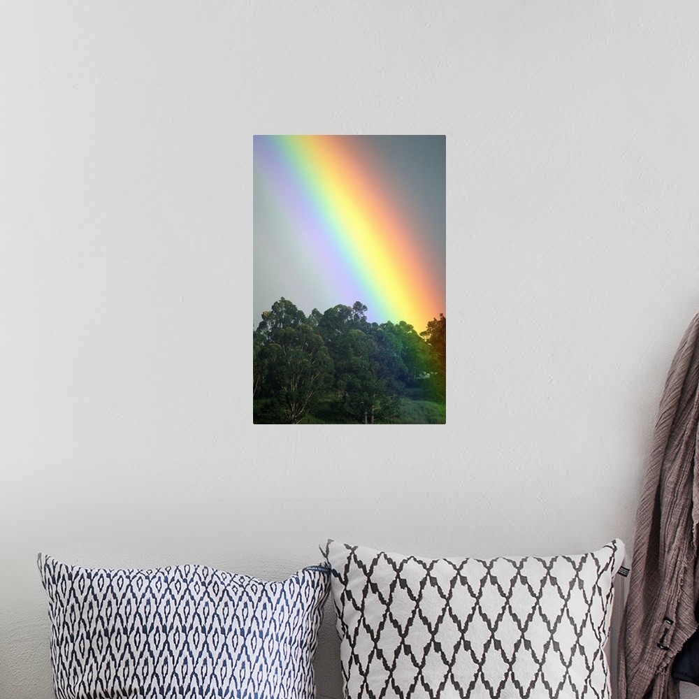 A bohemian room featuring Hawaii, Maui, Haiku, Bright Rainbow In Misty Skies Over Trees