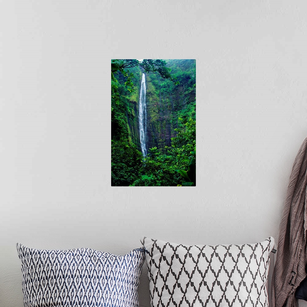 A bohemian room featuring Hawaii, Maui, Hana, Oheo Gorge, Waimoku Falls, And Rainforest