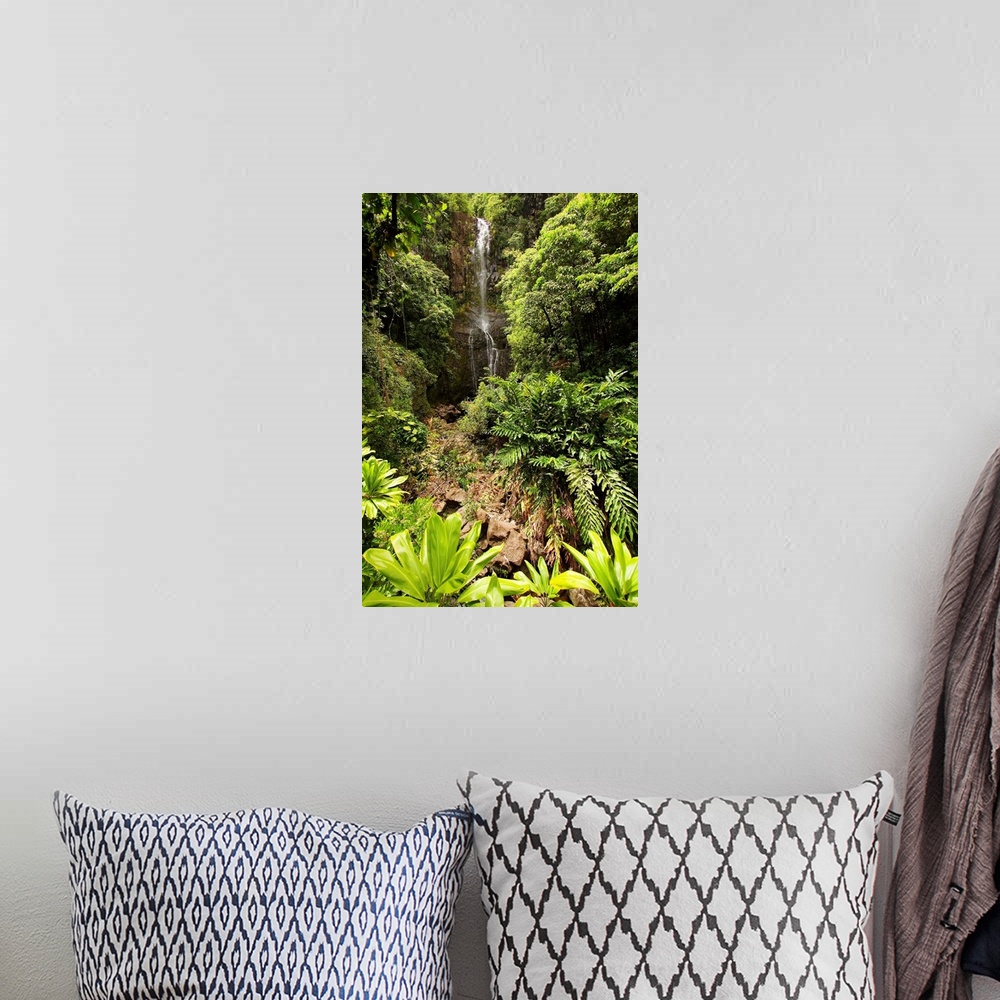 A bohemian room featuring Hawaii, Maui, Kipahulu, Hana Coast, Wailua Falls Surrounded By Foliage