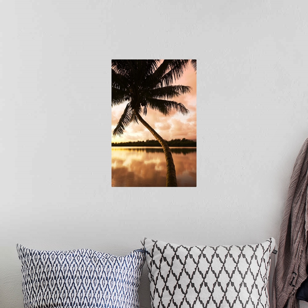 A bohemian room featuring Hawaii, Oahu, Kualoa Ranch, Palm Tree At Sunrise, Sky Reflecting On Water