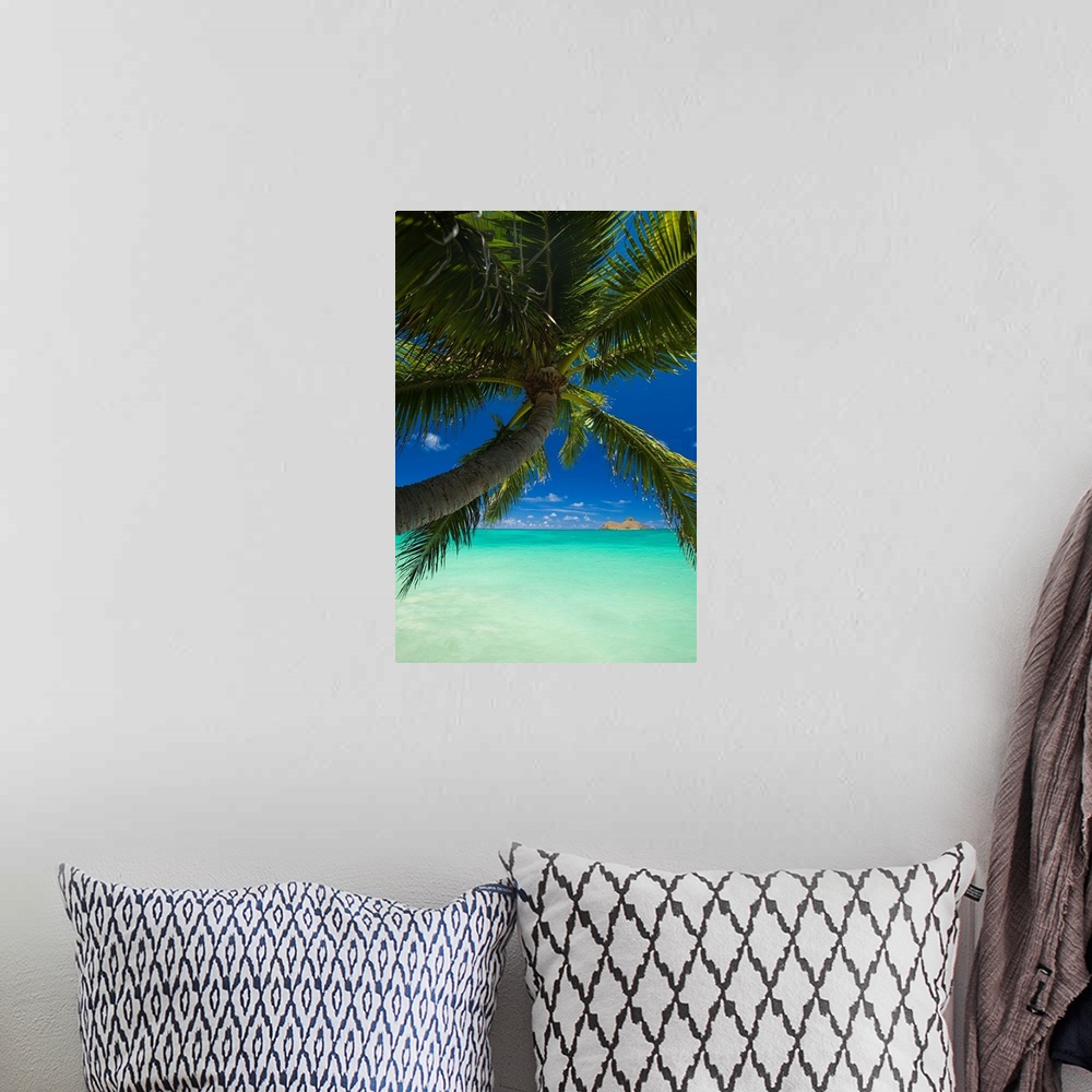 A bohemian room featuring Hawaii, Oahu, Lanikai, Palm Tree Over Turquoise Ocean, Na Mokulua In The Distance