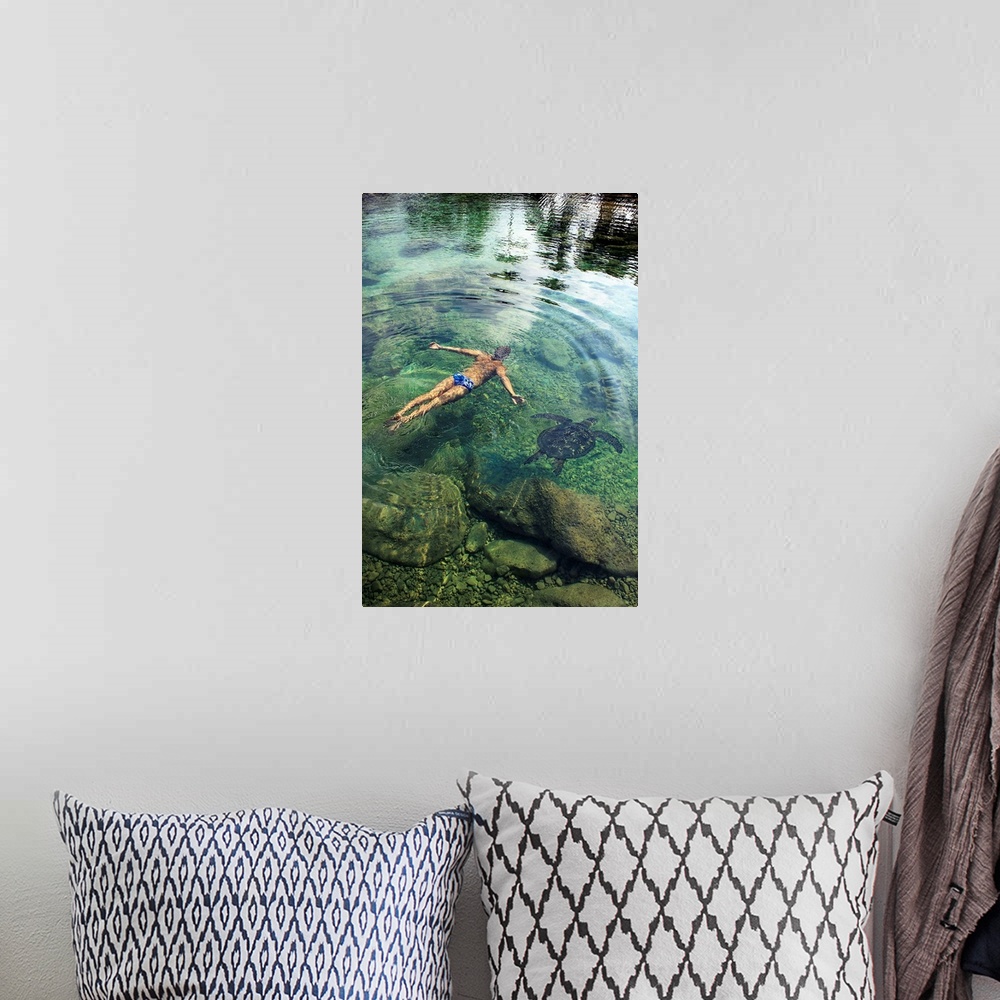A bohemian room featuring Hawaii, Oahu, Man And Hawaiian Sea Turtle Swimming Side By Side In The Ocean Reef