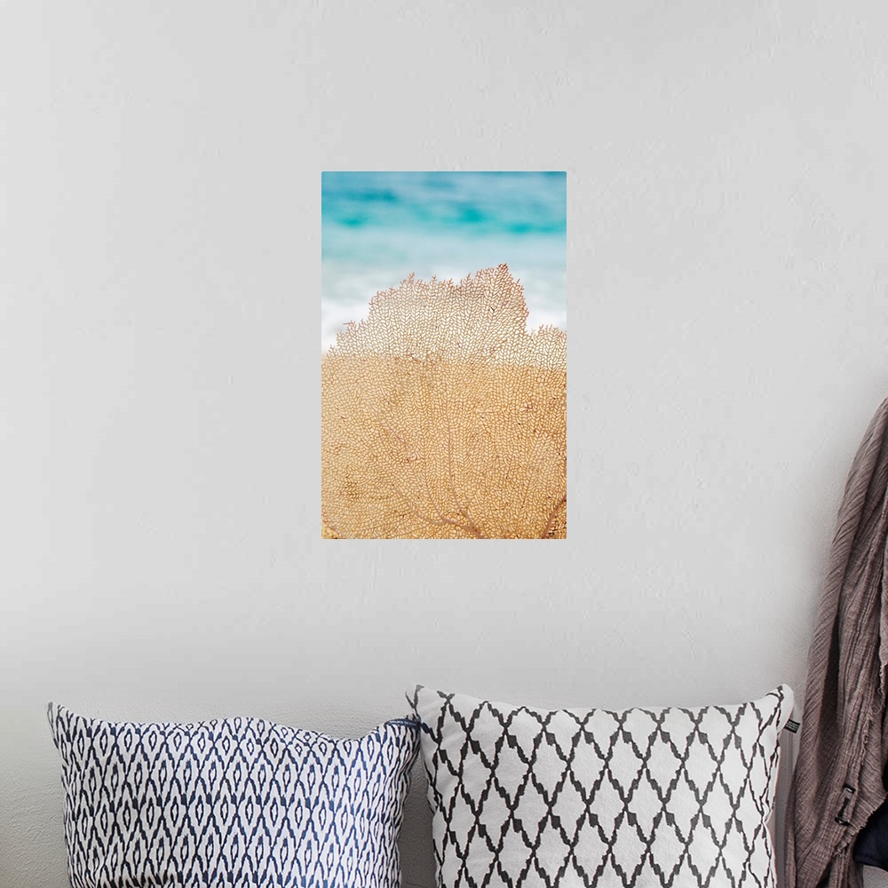 A bohemian room featuring Hawaii, Oahu, Turquoise Ocean With Beautiful Coral Element On The Sand