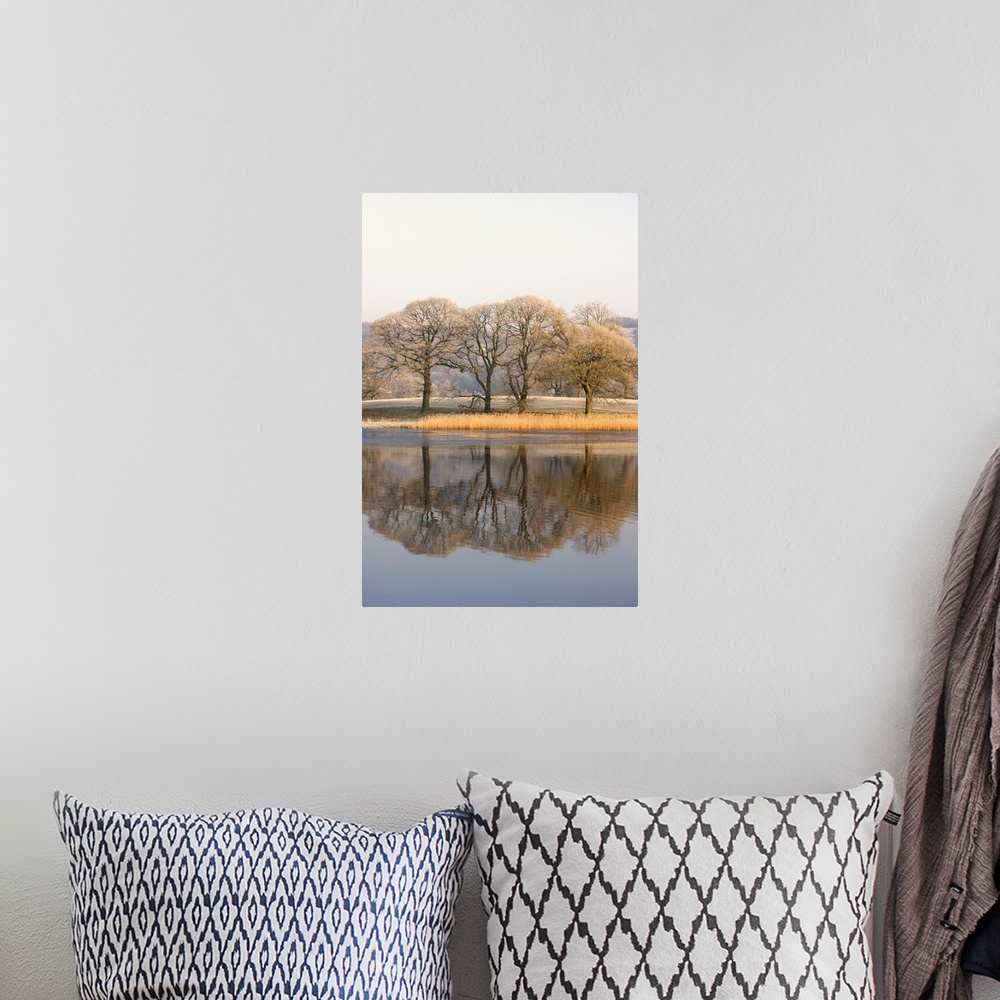A bohemian room featuring Lake Scenic With Autumn Trees Reflected In Water, Cumbria, England