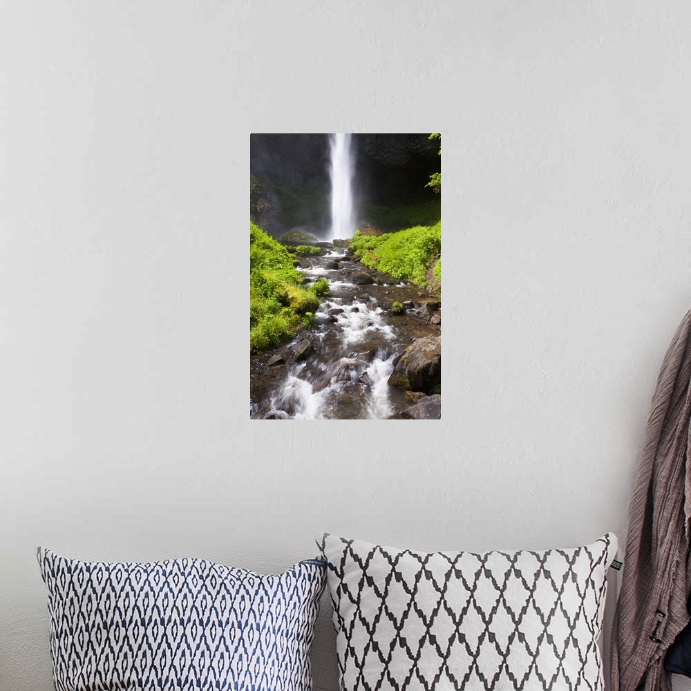 A bohemian room featuring Latourell Falls In The Columbia River Gorge National Scenic Area, Oregon
