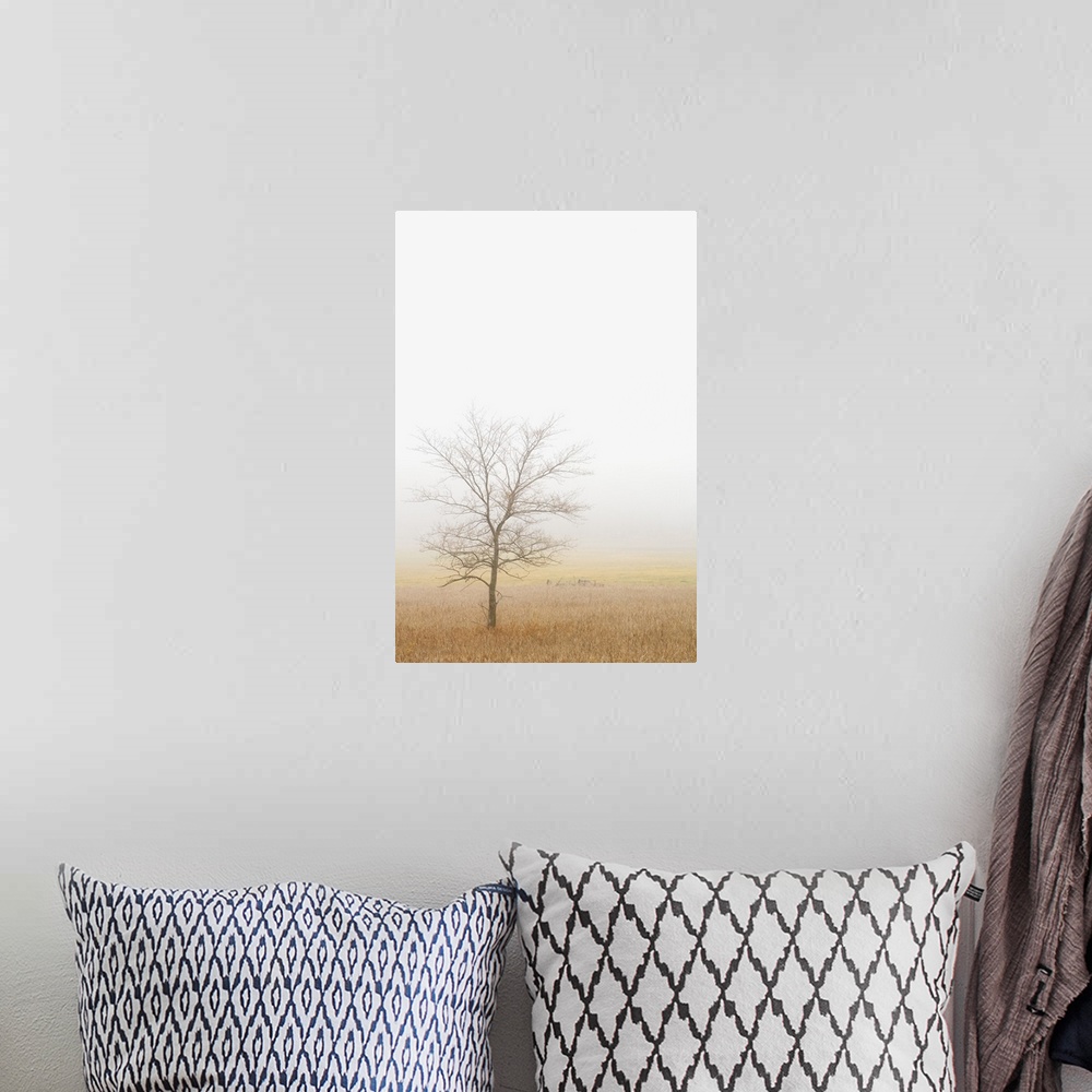 A bohemian room featuring Lone Tree In A Wheat Field