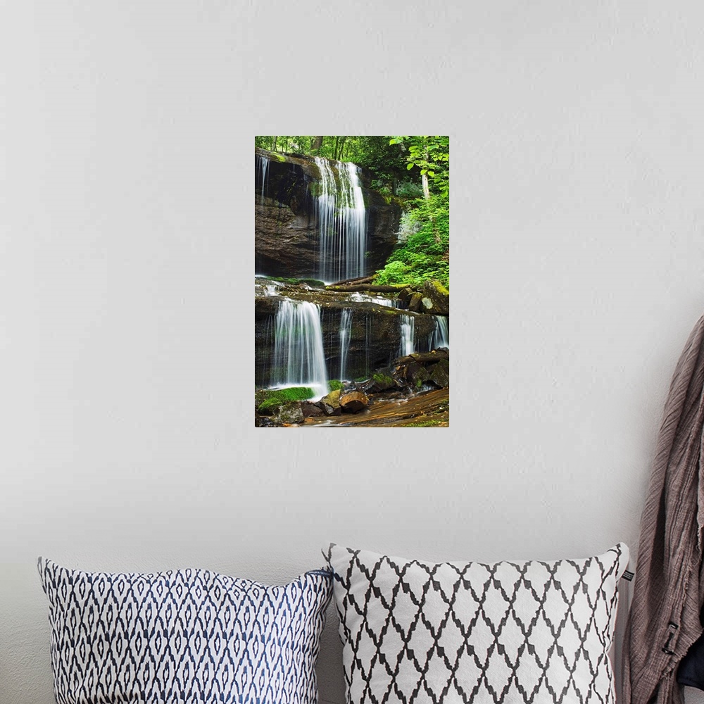 A bohemian room featuring Lush Summer Foliage At Grassy Creek Falls, North Carolina