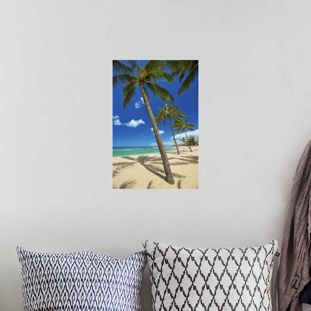 A bohemian room featuring Palm Trees On The Beach In Salt Ponds State Park; Kauai, Hawaii, United States Of America