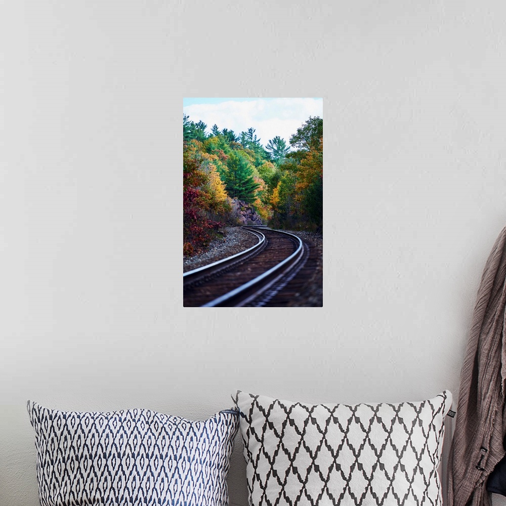 A bohemian room featuring Railroad tracks through an autumn coloured forest; Ontario, Canada