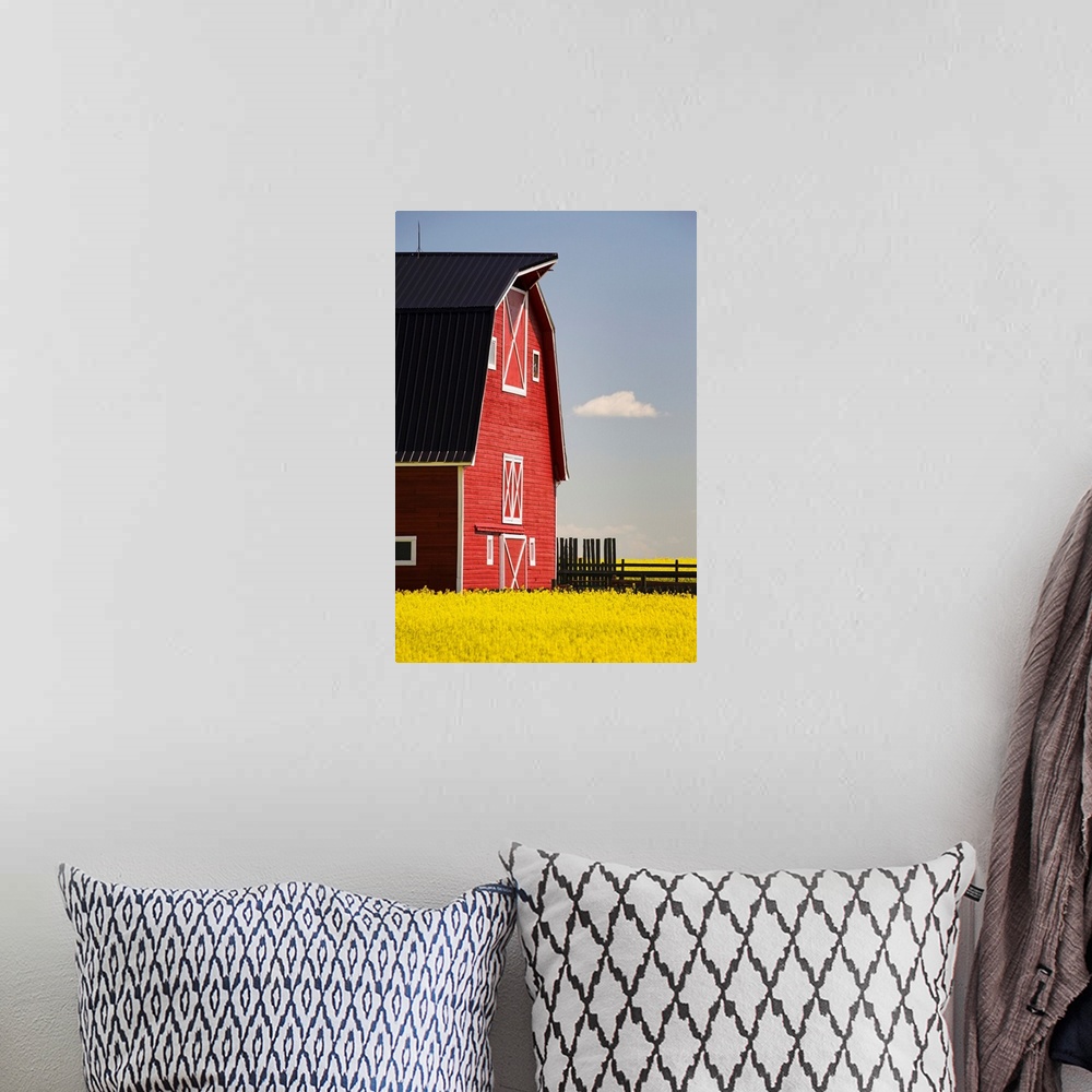 A bohemian room featuring Red Barn In A Flowering Canola Field With Blue Sky, Alberta, Canada