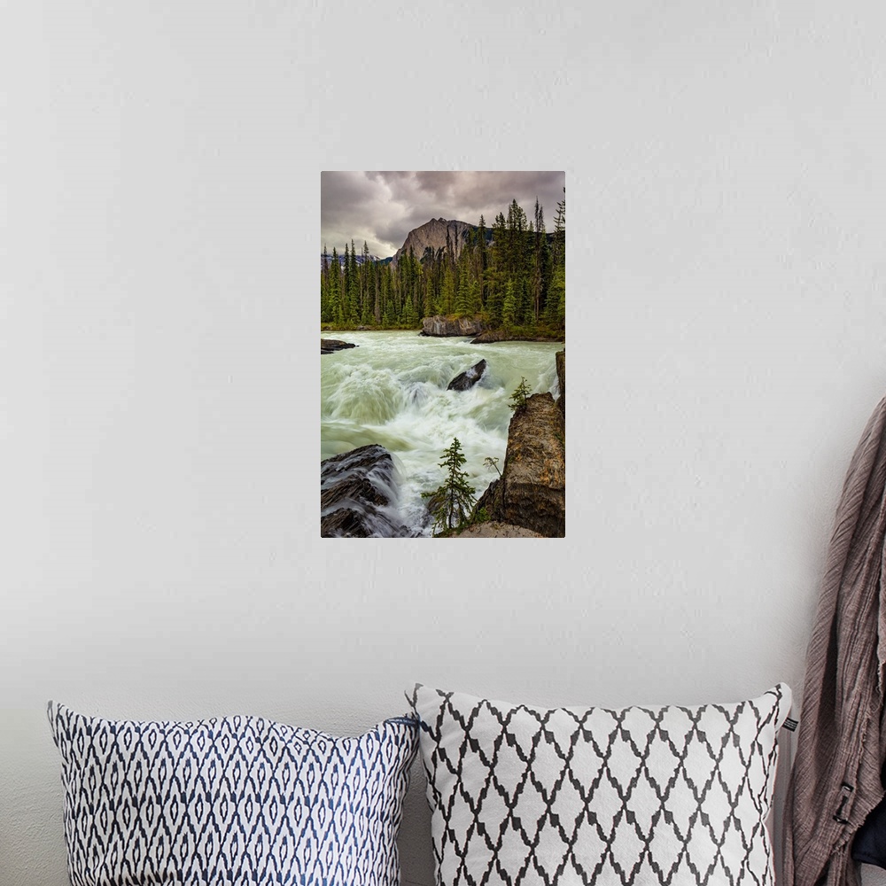 A bohemian room featuring Rushing river and the Canadian Rockies in Yoho National Park; British Columbia, Canada