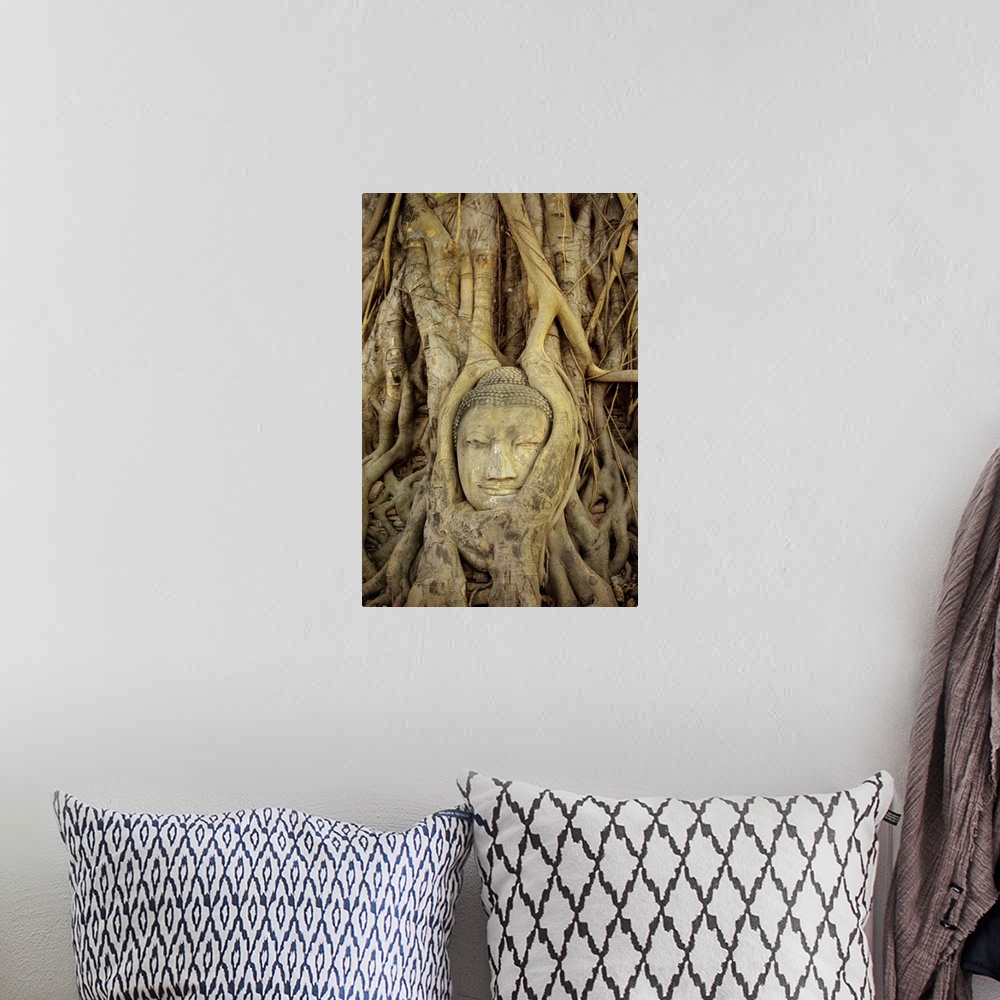 A bohemian room featuring Thailand, Ayuthayai, Stone Buddha Head With Tree Roots Growing Over It