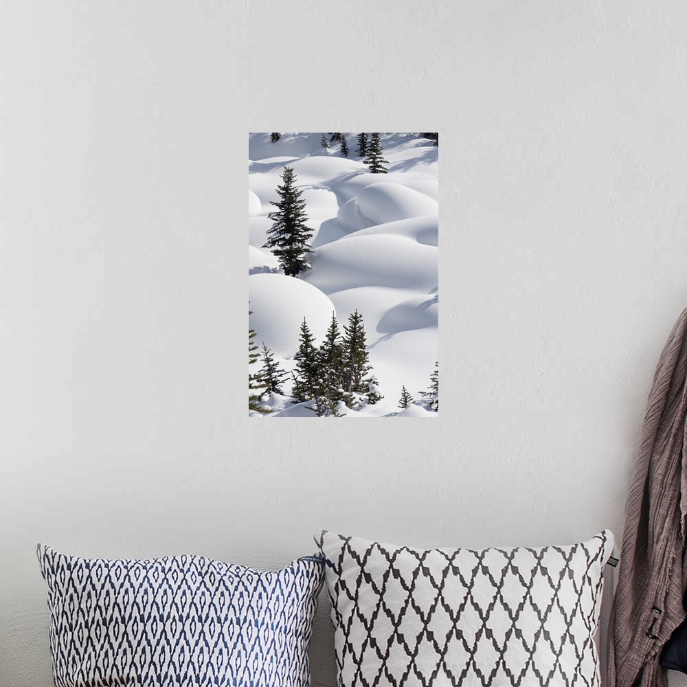 A bohemian room featuring Trees In Snow Drifts At Lake Louise, Banff National Park, Alberta, Canada