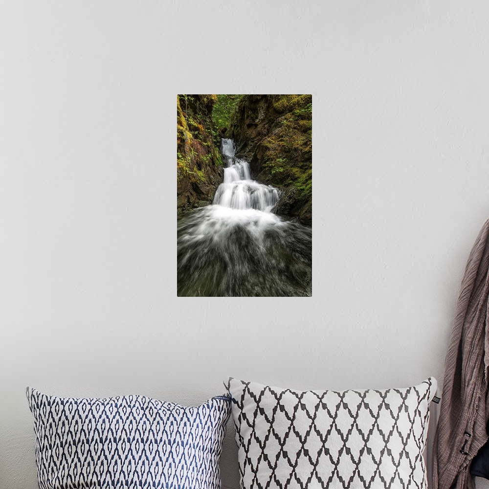 A bohemian room featuring Unnamed stream and waterfall, Strathcona Provincial Park, British Columbia, Canada