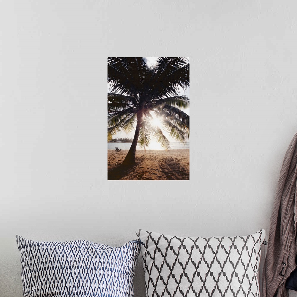 A bohemian room featuring View Of Ocean And Beach Through Palm Tree, Caribbean