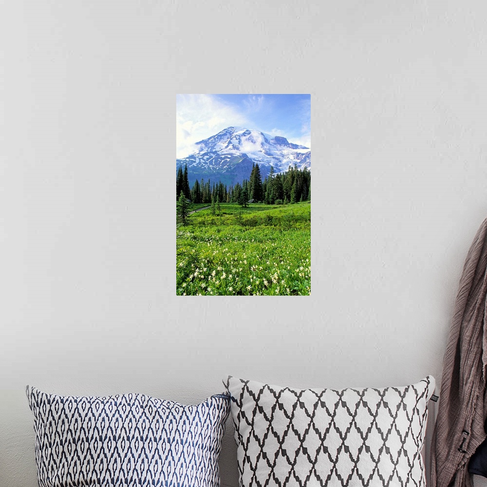 A bohemian room featuring Washington, Mt. Rainier National Park, Meadow Along Nisqually Vista Trail