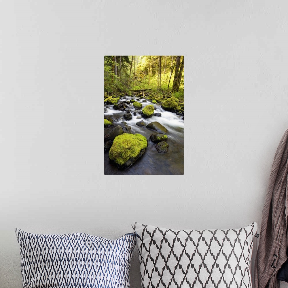 A bohemian room featuring Water Flowing By Moss Covered Rocks In A Stream