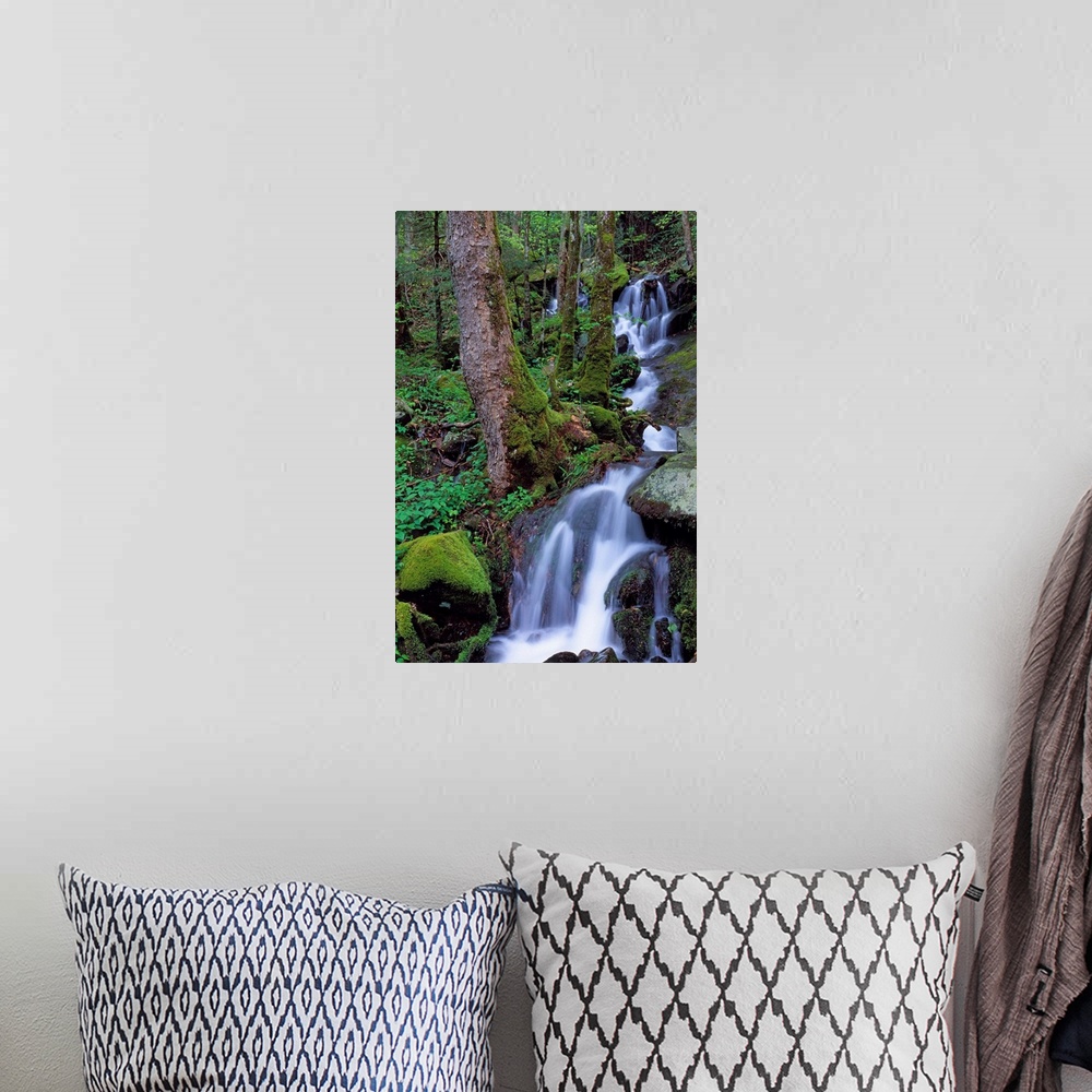 A bohemian room featuring Waterfall Pouring Down Mountainside