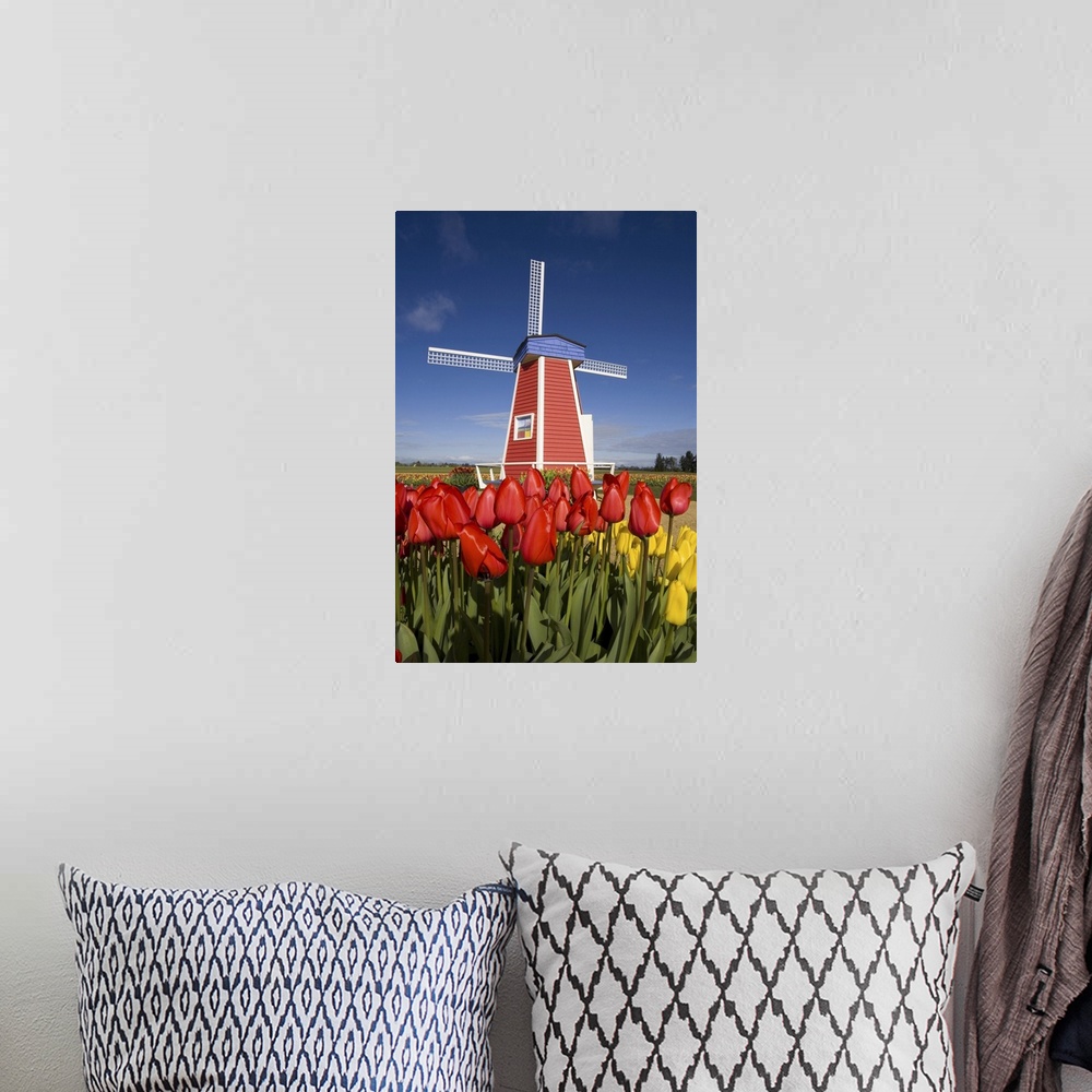 A bohemian room featuring 02 Apr 2007, Oregon, USA --- Windmill in Tulip Field --- Image by  Craig Tuttle/Corbis