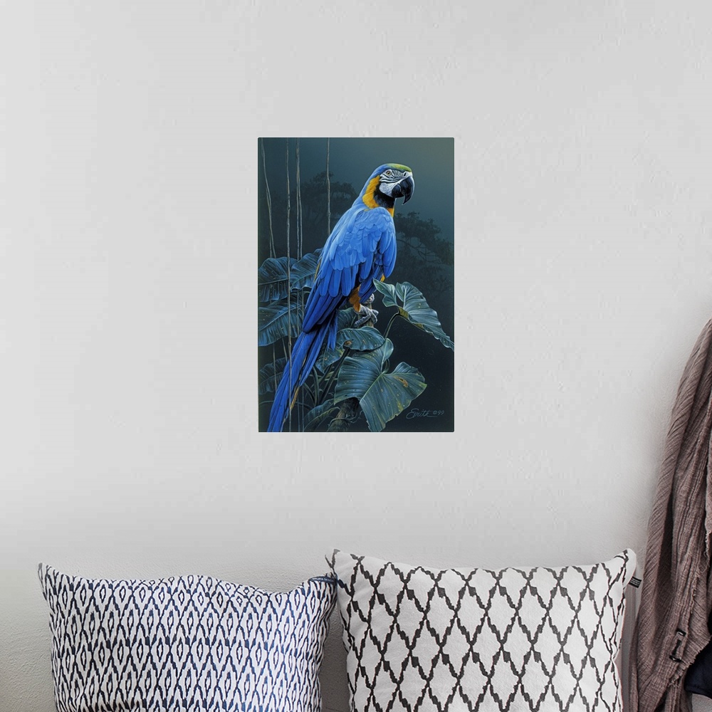 A bohemian room featuring Blue And Gold Macaw
