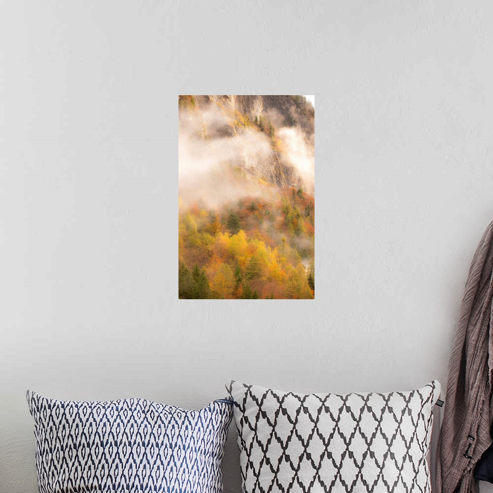 A bohemian room featuring Landscape photograph of colorful Autumn trees under foggy mountain rock cliffs.