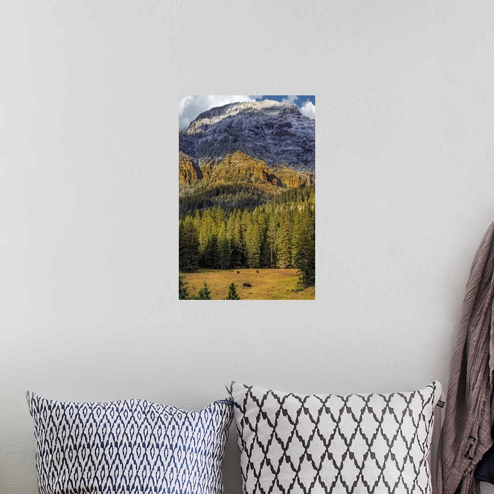 A bohemian room featuring A photograph of bison grazing in a clearing in front of a thicket of forest, with mountains in th...