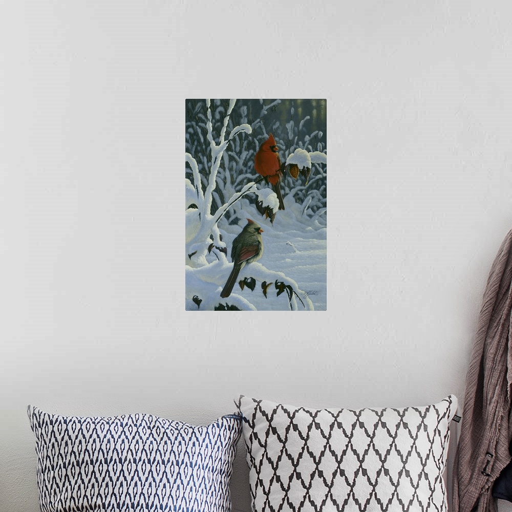 A bohemian room featuring A pair of cardinals on  a snow covered branch.