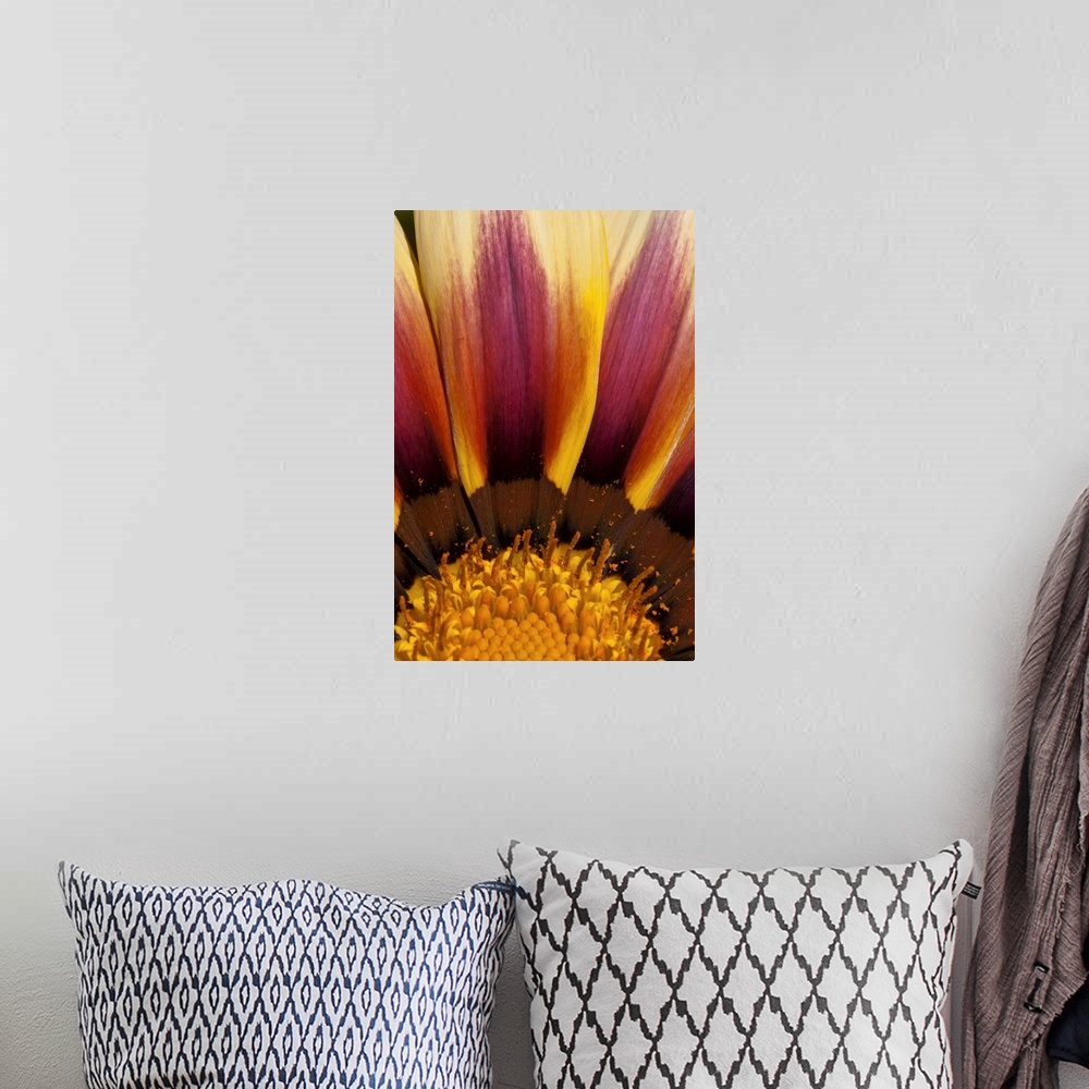 A bohemian room featuring Macro photograph of a bright yellow and purple flower.
