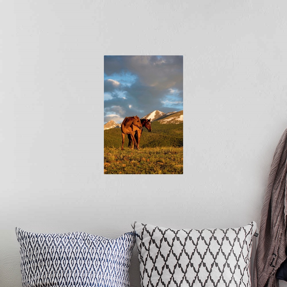 A bohemian room featuring Wildlife photograph of two horses in a field with mountains in the background at golden hour.