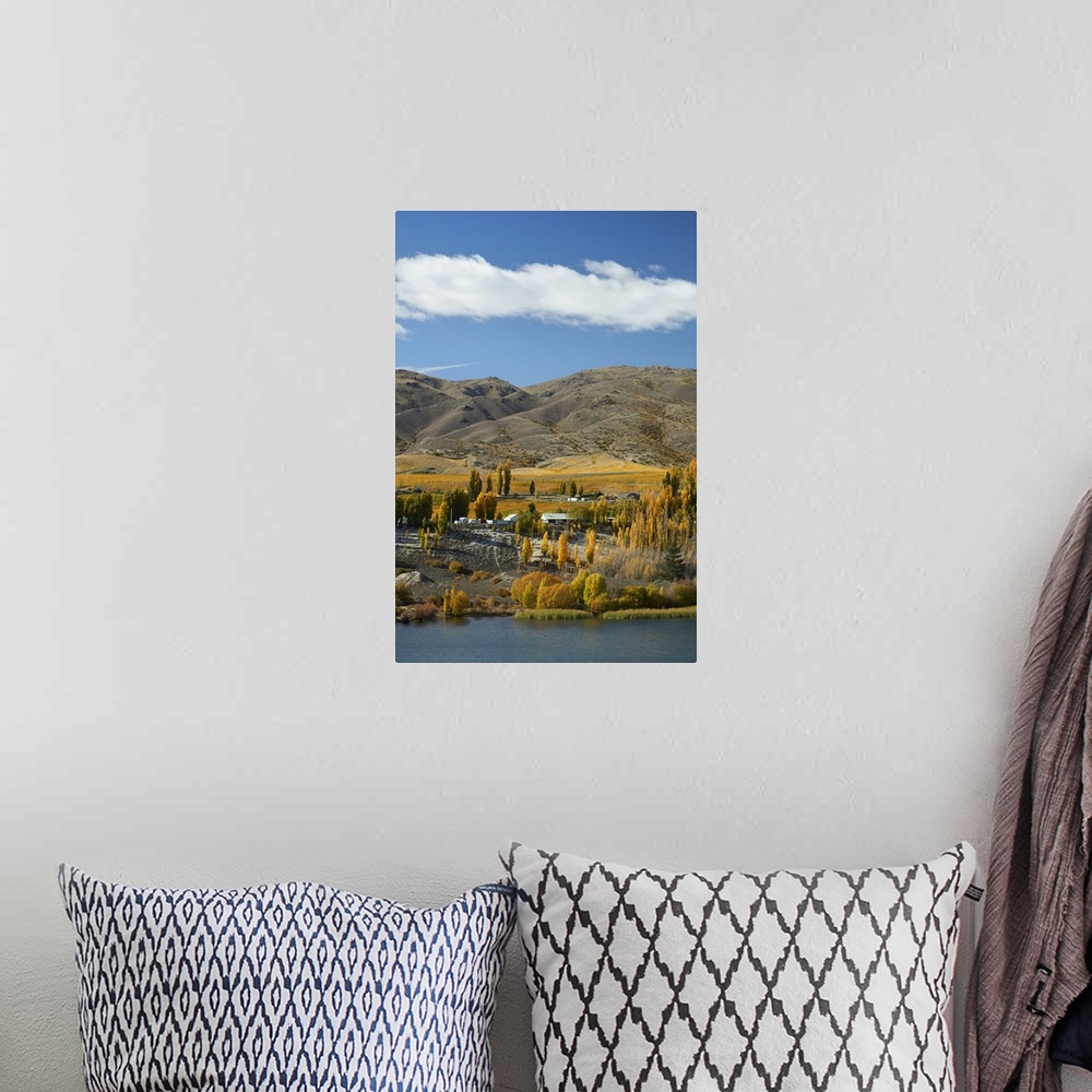 A bohemian room featuring Autumn colours, Bannockburn Inlet, Lake Dunstan, Central Otago, South Island, New Zealand