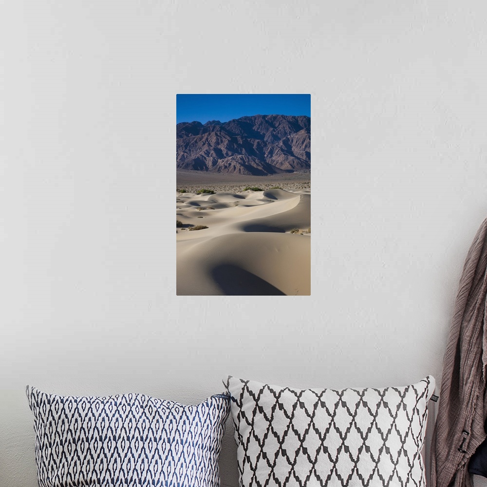 A bohemian room featuring USA, California, Death Valley National Park, Mesquite Flat Sand Dunes, dawn