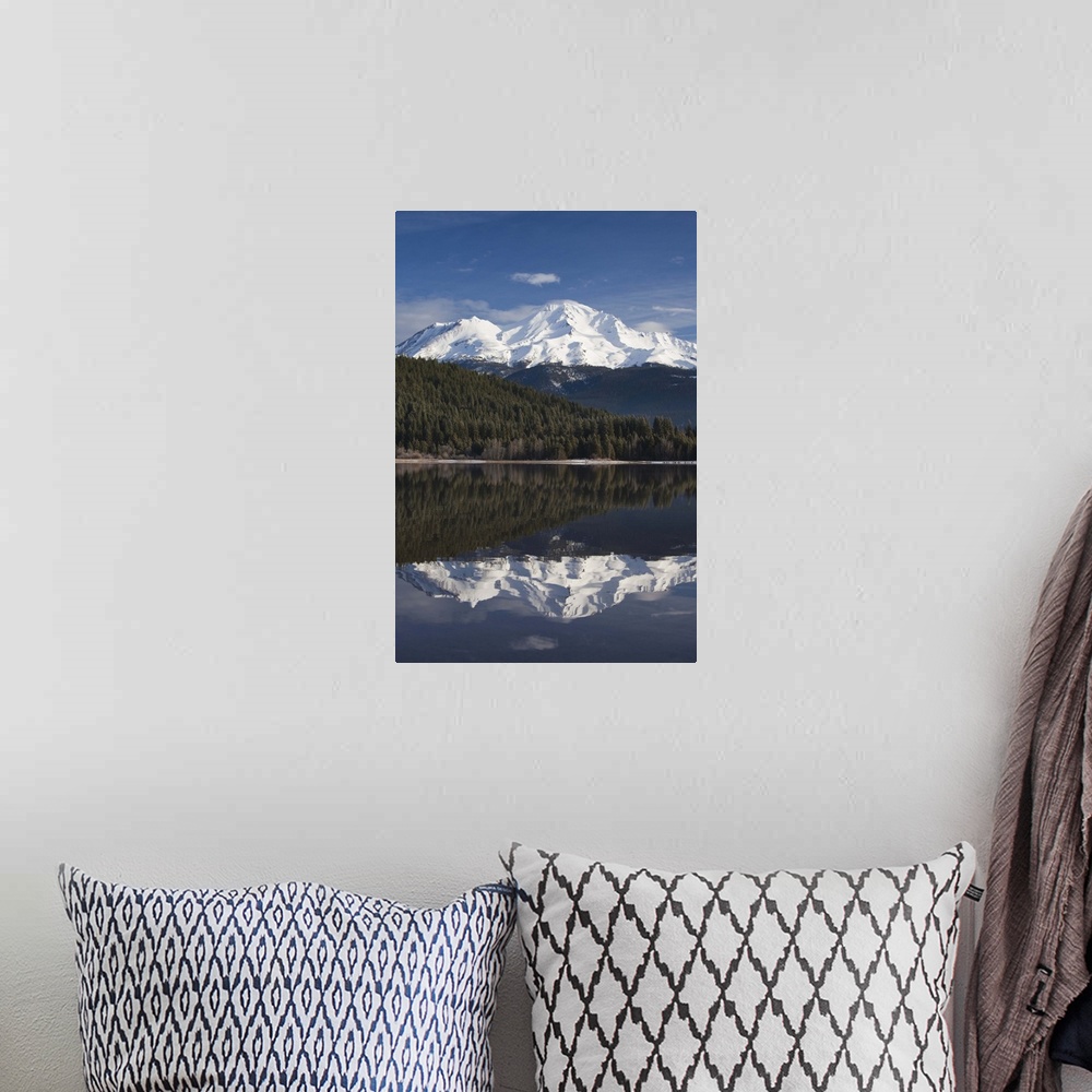 A bohemian room featuring USA, California, Northern California, Northern Mountains, Mount Shasta, view of Mt. Shasta, eleva...