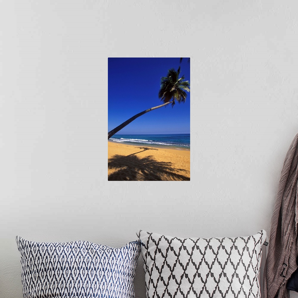 A bohemian room featuring Caribbean, Puerto Rico, San Juan, Isla Verde, Palm tree lined beach
